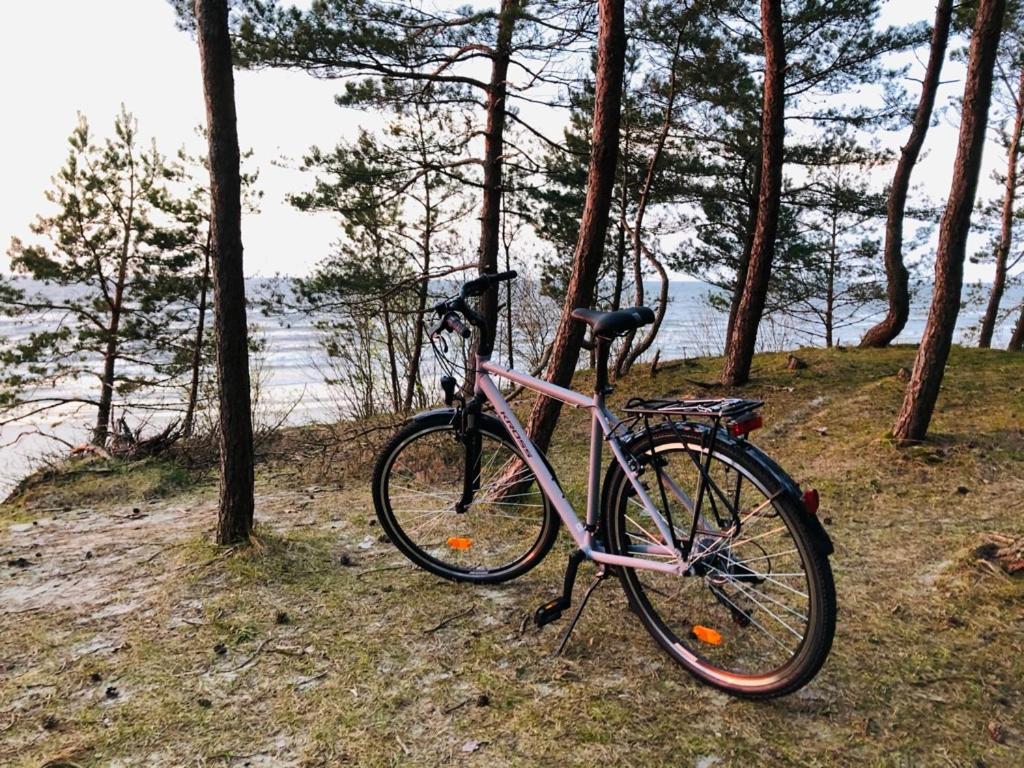 Domki Skowronki Kąty Rybackie Exterior foto